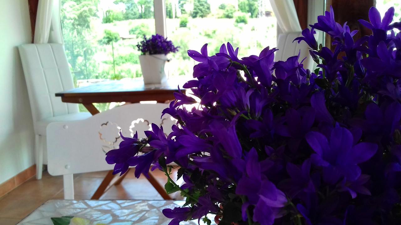 Antico Casale Fabrizi Bed and Breakfast Velletri Eksteriør billede
